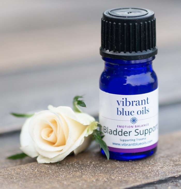 Bladder Support - 5 ML by Vibrant Blue Oils