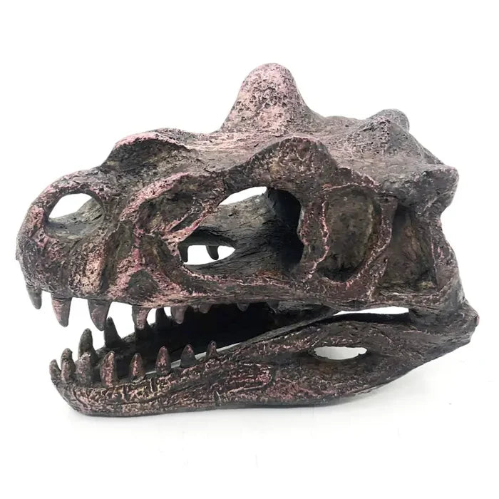 Ceratosaurus Mini Skull Replica