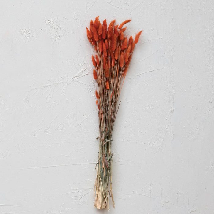 Dried Natural Bunny Tail Bunch