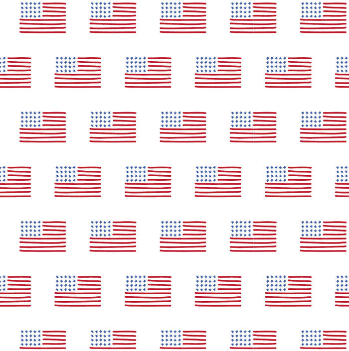 Lila and Hayes - Walker Short Set - American Flag