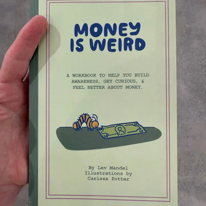 Money is Weird journal, illustrated cover with title text and dark blue border frame