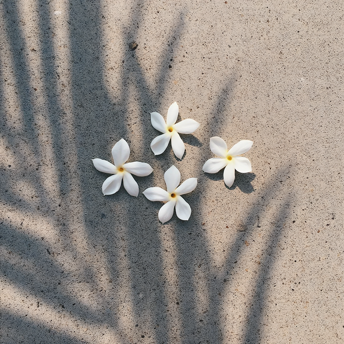 Pikake Jasmine Diffuser