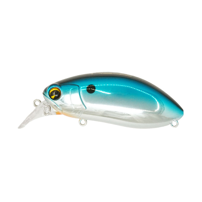 Roumba #118 Gizzard Shad