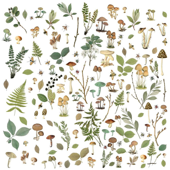 49 & Market Nature Study Laser Cut Outs - Mushrooms & Foliage