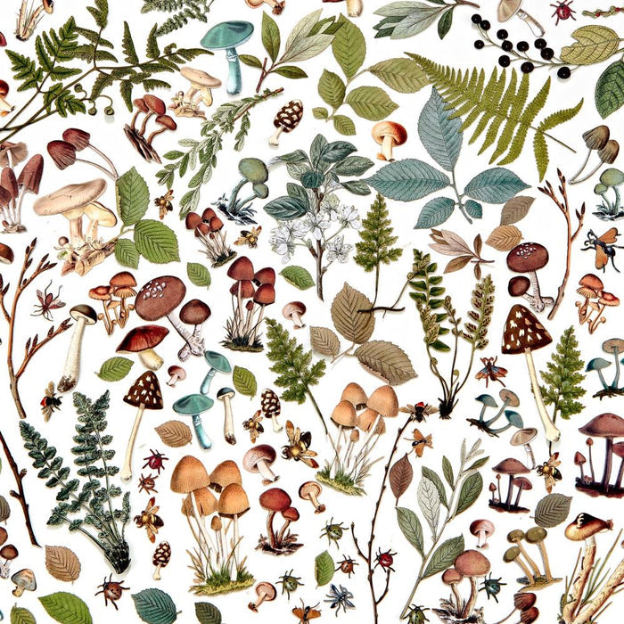 49 & Market Nature Study Laser Cut Outs - Mushrooms & Foliage
