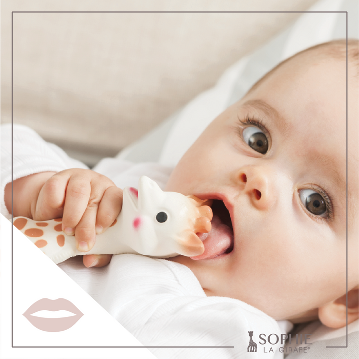 Baby | Sophie La Girafe Teether