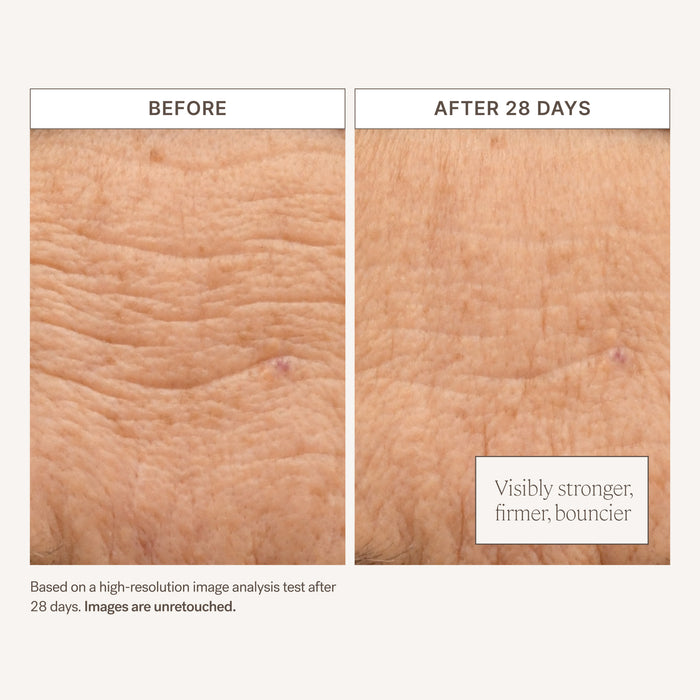 ILIA-Barrier Build Skin Protectant Cream-Skincare-s2848653-av-01-The Detox Market |