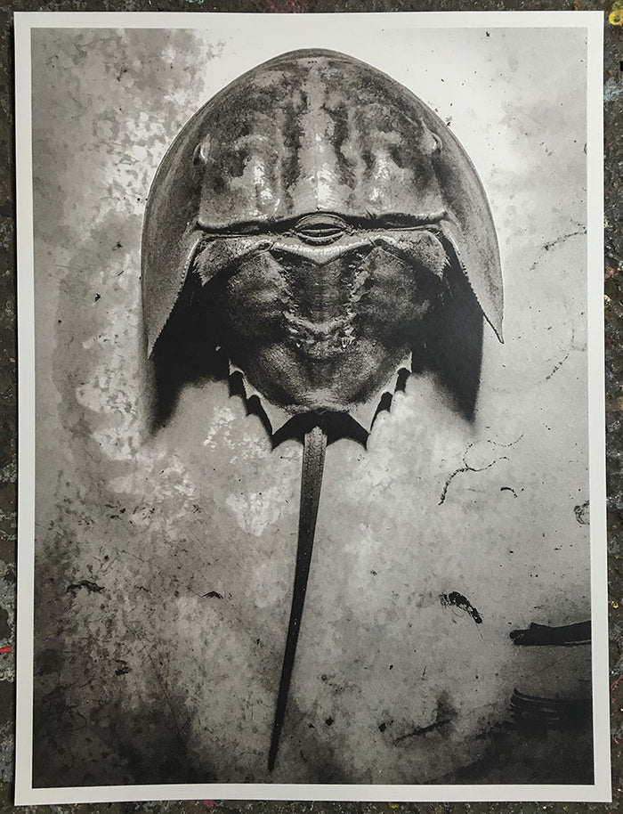 Ben LaFond: Good Luck print