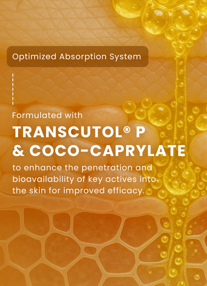 Hyphen Dual Phase Advanced De-Pigmentation Serum 30ml - optimized absorption system infographic
