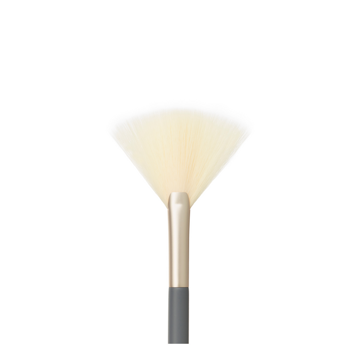 Fan Brush