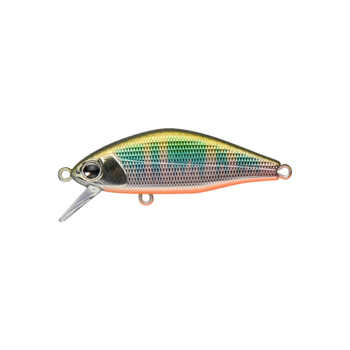 Issen45S MAX #014 Oikawa Orange Belly