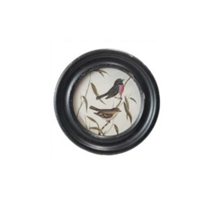 ROUND BIRDS
