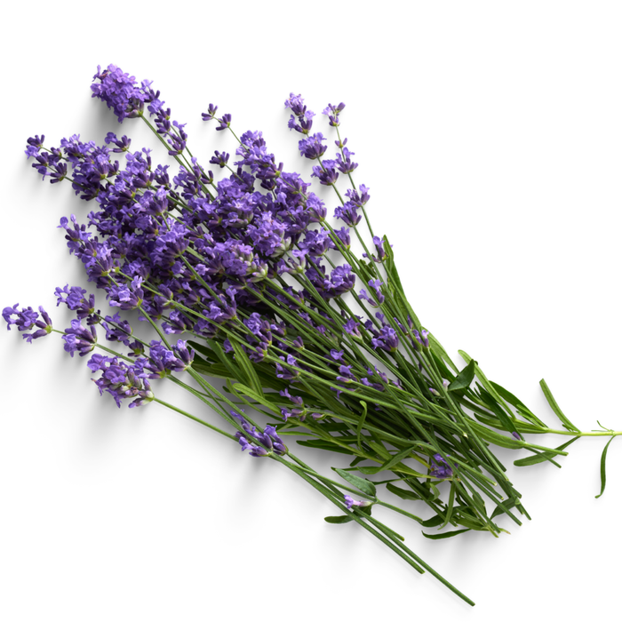 Lavender Night Mist