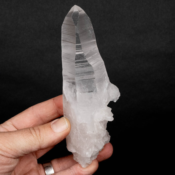 Lemurian Seed Crystal 289 g 148x43mm DT - InnerVision Crystals