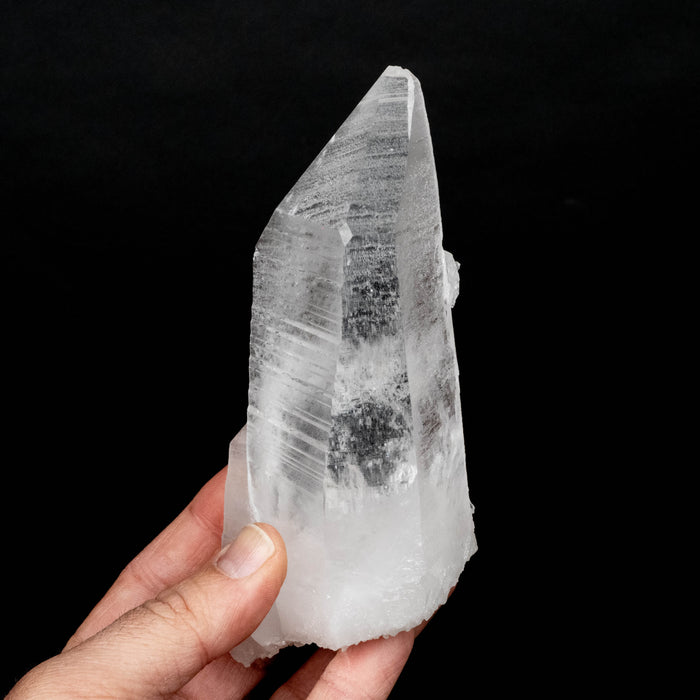 Lemurian Seed Crystal 436 g 150x61mm DT Self Healed - InnerVision Crystals