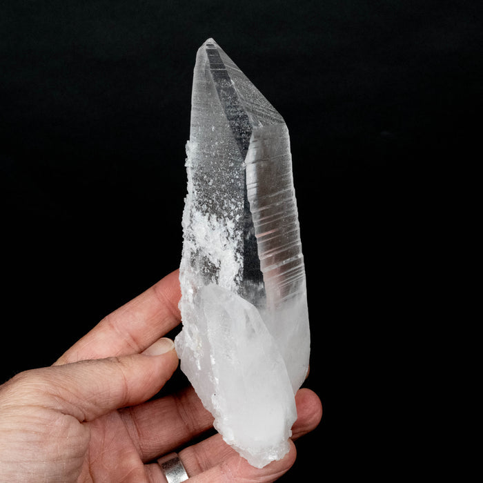 Lemurian Seed Crystal 436 g 150x61mm DT Self Healed - InnerVision Crystals