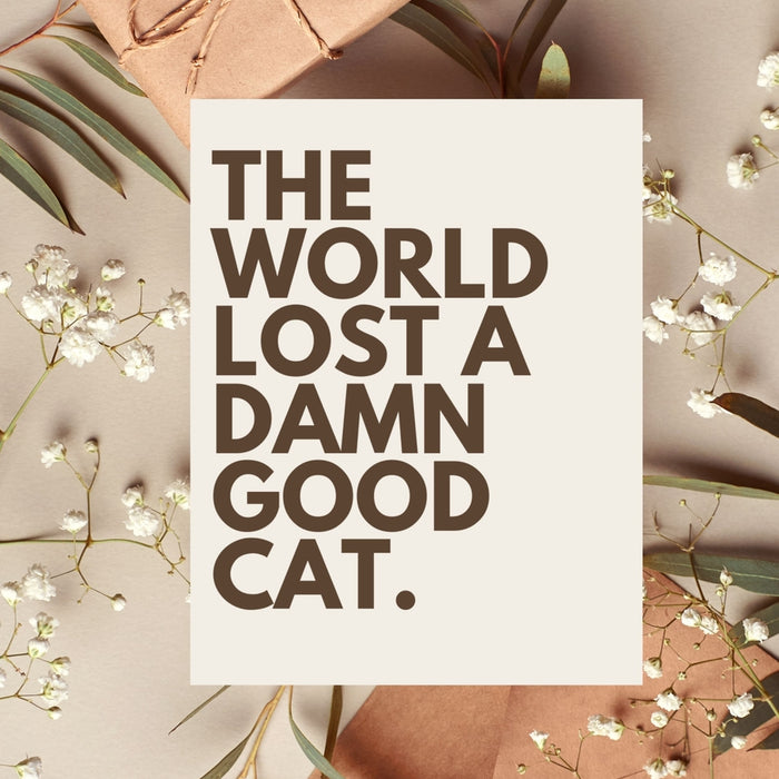 Sympathy card with bold message: THE WORLD LOST A DAMN GOOD CAT.