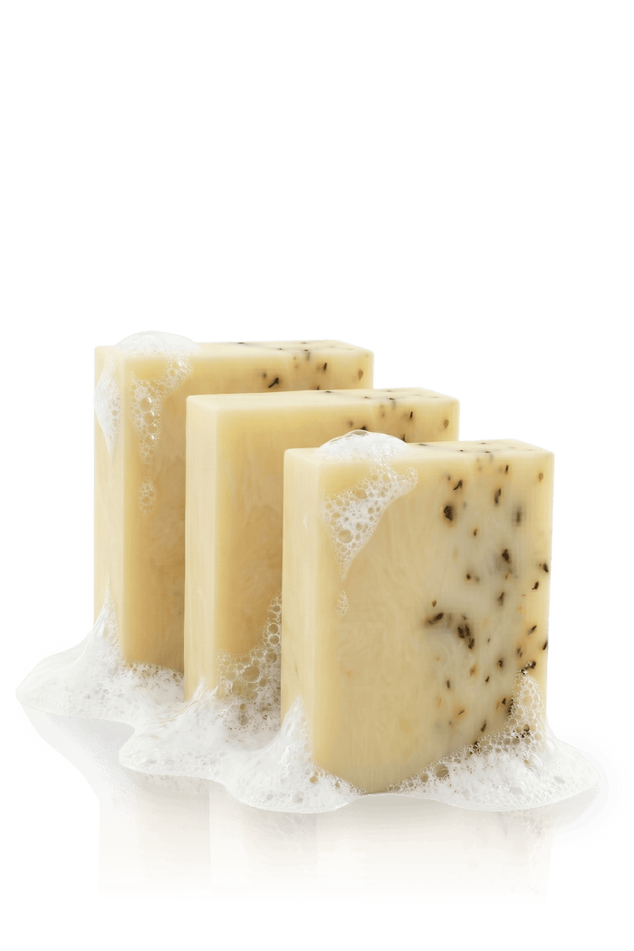Men's Mint Soap Scrub Bar - 3 Pack