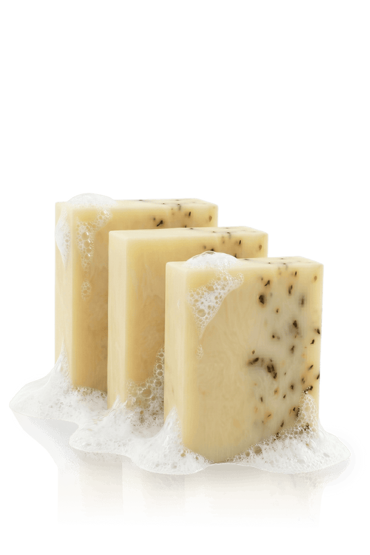 Men's Mint Soap Scrub Bar - 3 Pack