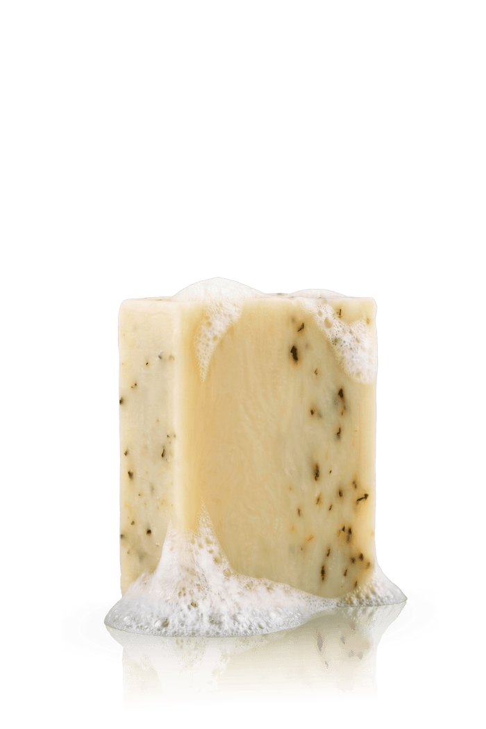 Men's Soap Scrub Bar - Mint