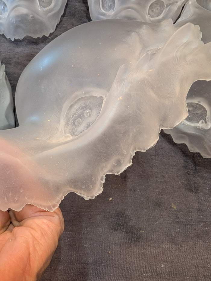 MISCAST SHARK PIRATE TOP HEAD CAST
