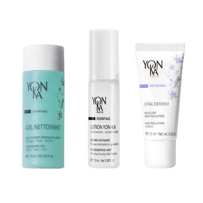 Normal to Oily Skin TRAVEL Set