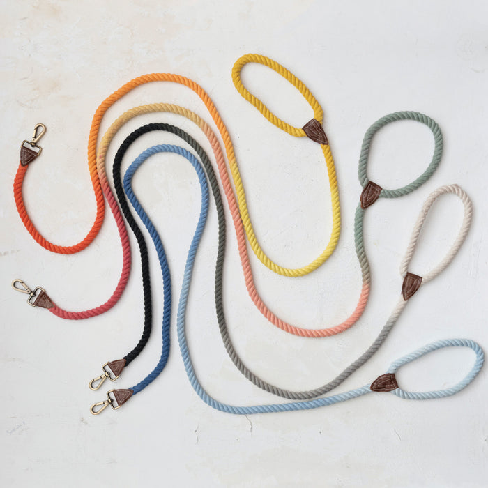 Ombre Rope & Leather Dog Leash