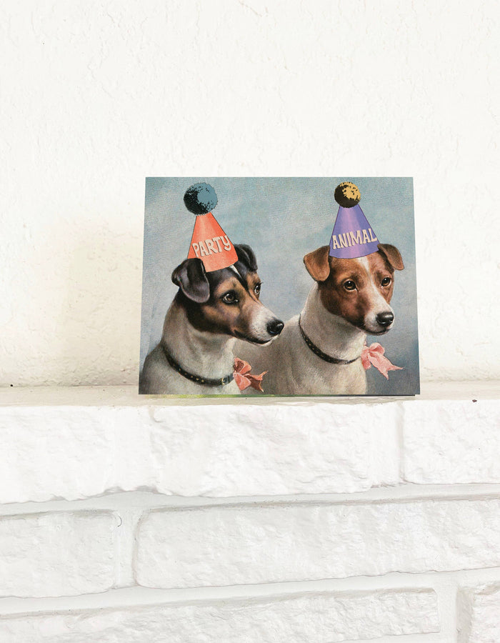 Colorful Party Animal Dogs greeting card by The Coin Laundry featuring playful dog illustrations and vibrant party designs.