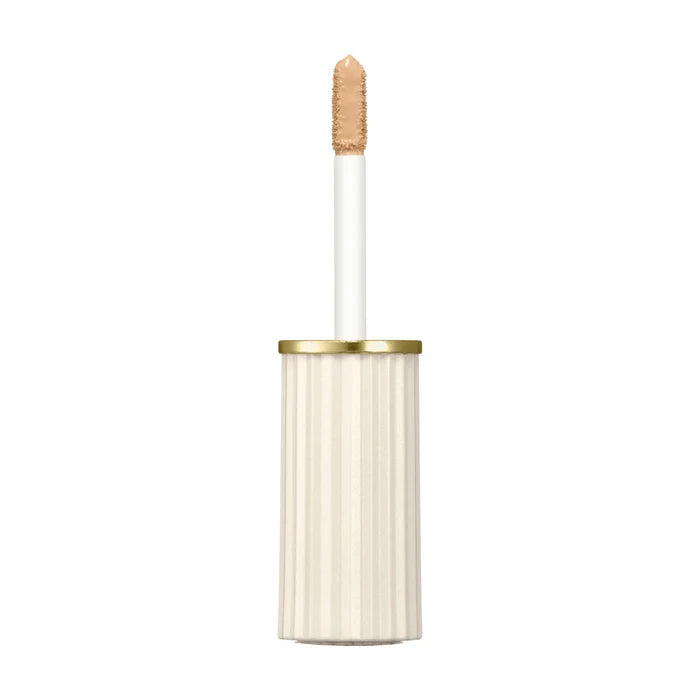 Paul & Joe Concealer