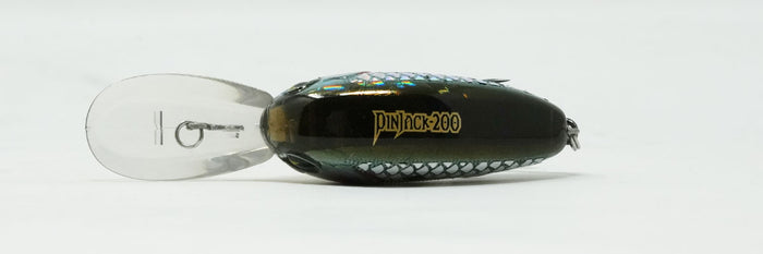 Pinjack 200 #105 American Shad