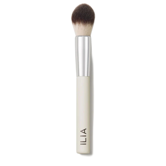 Precision Powder Brush