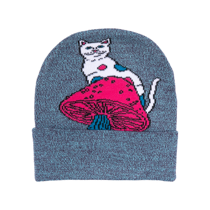 RIPNDIP Psychedelic Beanie (Purple)