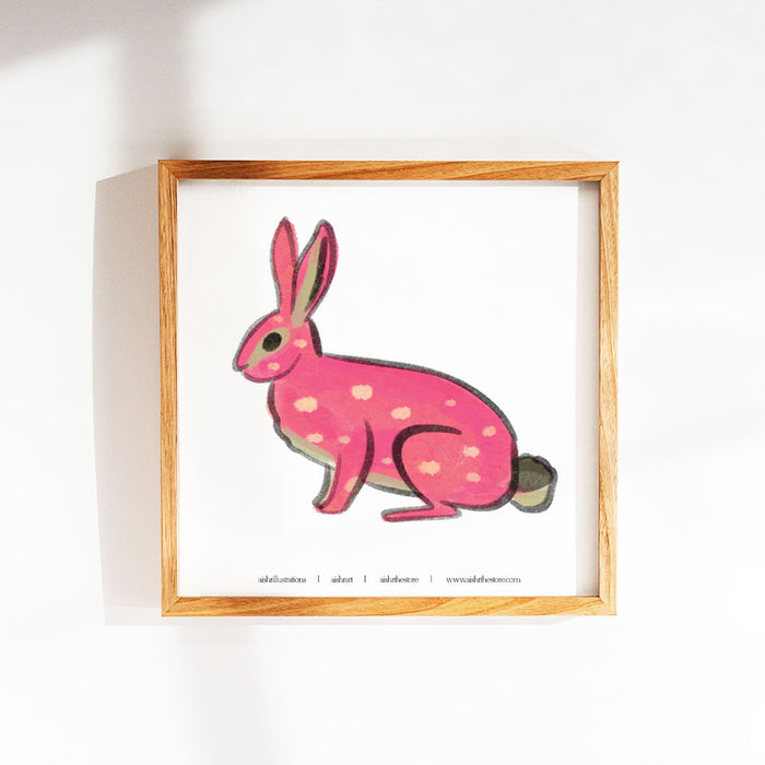 Rabbit 2