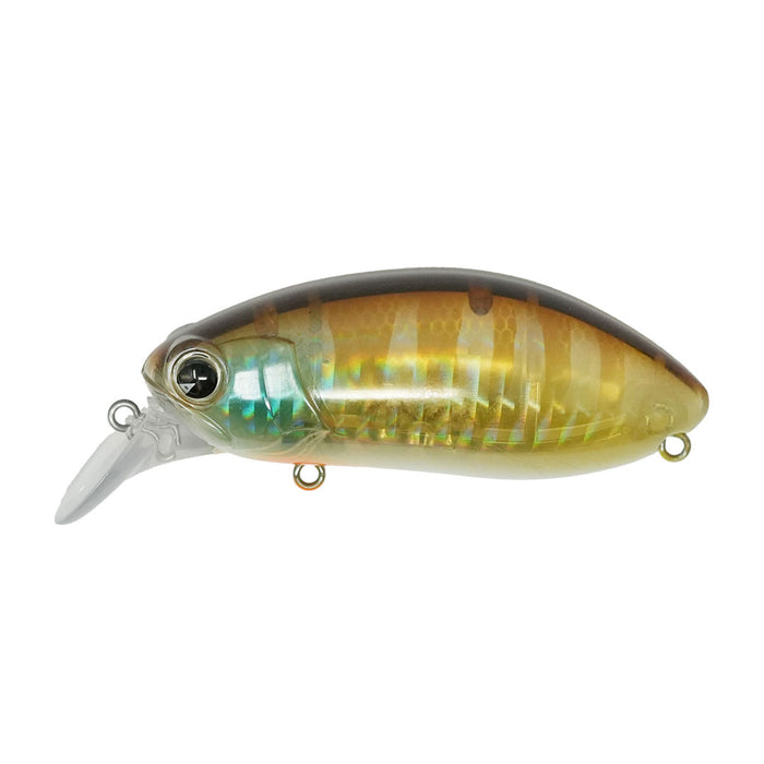 Rattling Roumba  #009 GhostGill