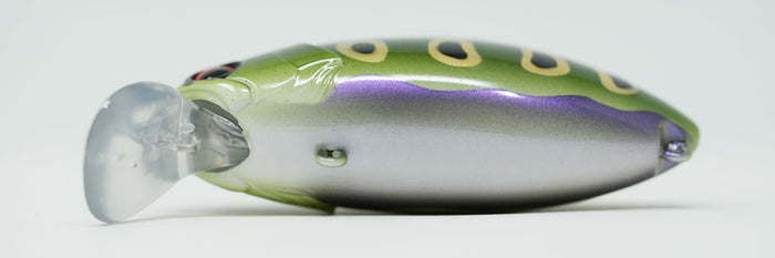 Rattling Roumba  #123 Bull Frog