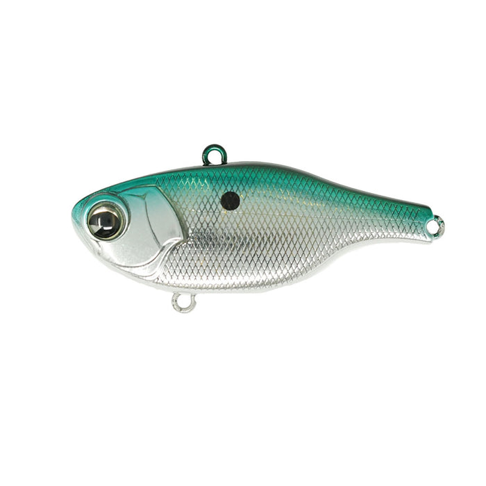 Rock N’ Vibe #130 Chattahoochee Chrome
