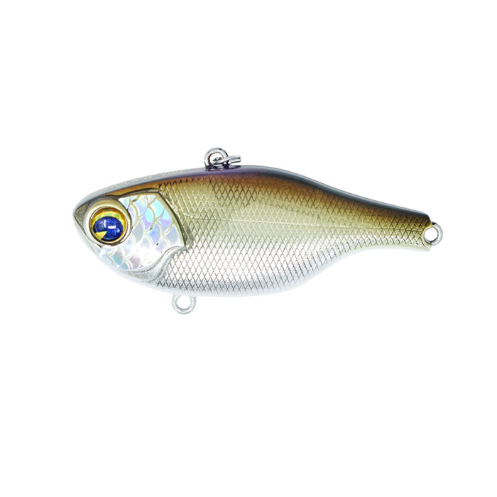 Rock N’ Vibe #140S Scaled Shad
