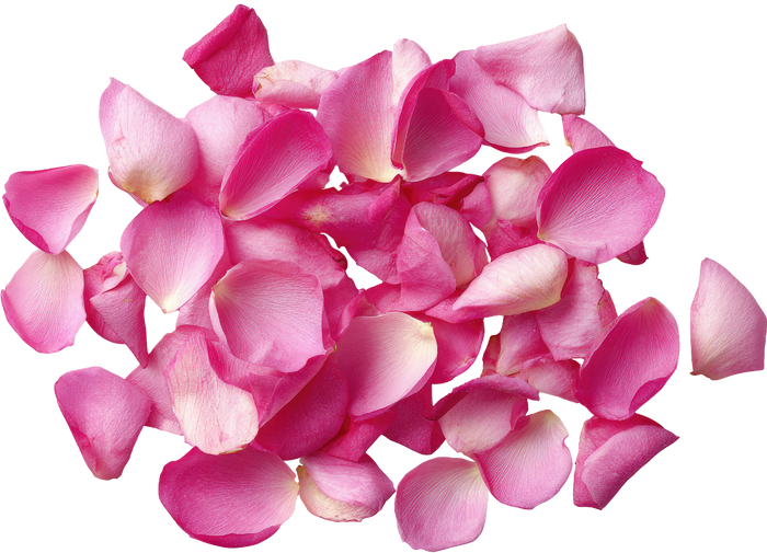 Rose Water Mist