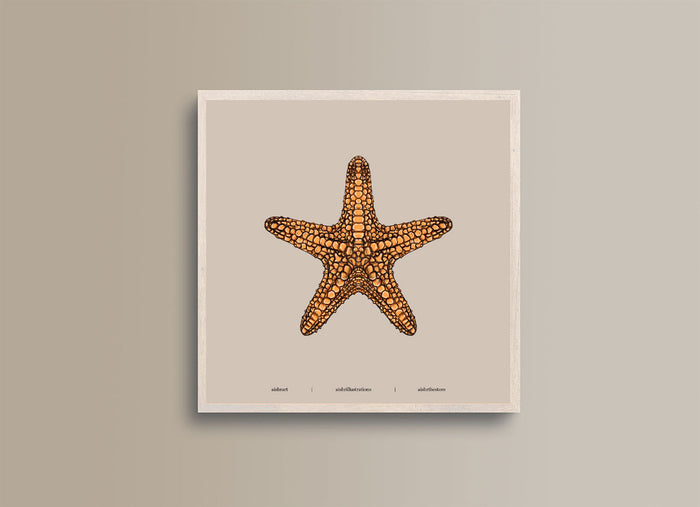 Seaside Creature 3