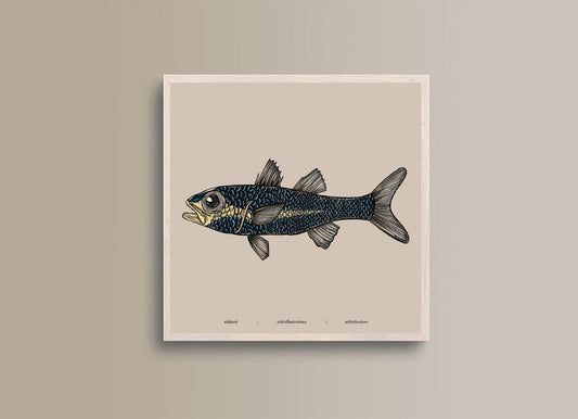 Seaside Creature 5