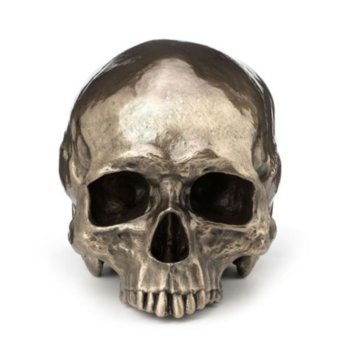 Steampunk Craniumography Jawless Skull