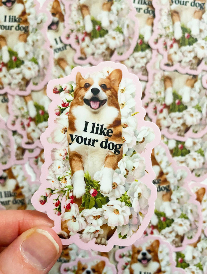 A sticker featuring the phrase "I Like Your Dog" in playful lettering, designed by The Coin Laundry, with a fun and colorful style.
