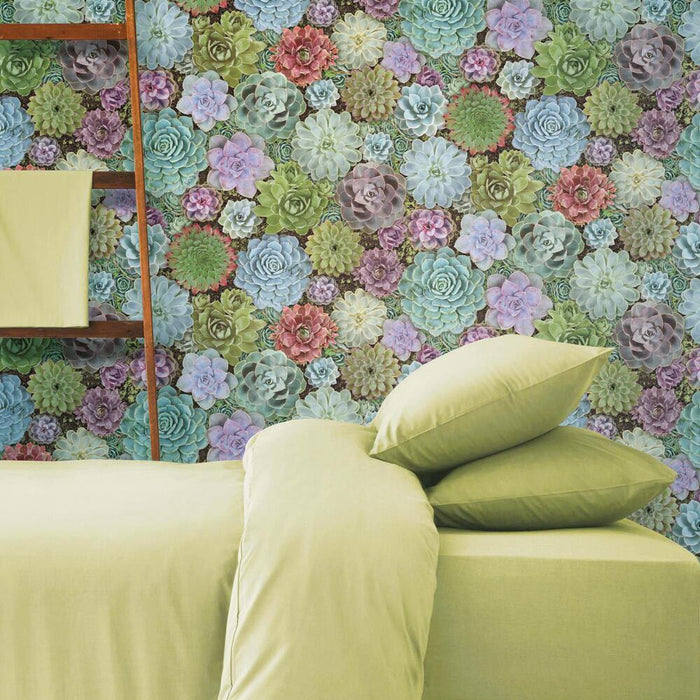 Succulents Peel & Stick Wallpaper - EonShoppee