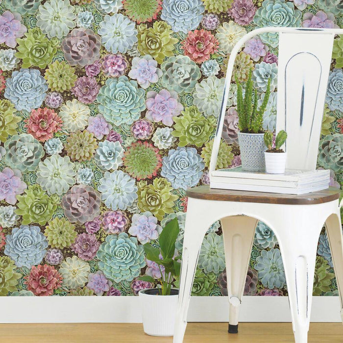 Succulents Peel & Stick Wallpaper - EonShoppee