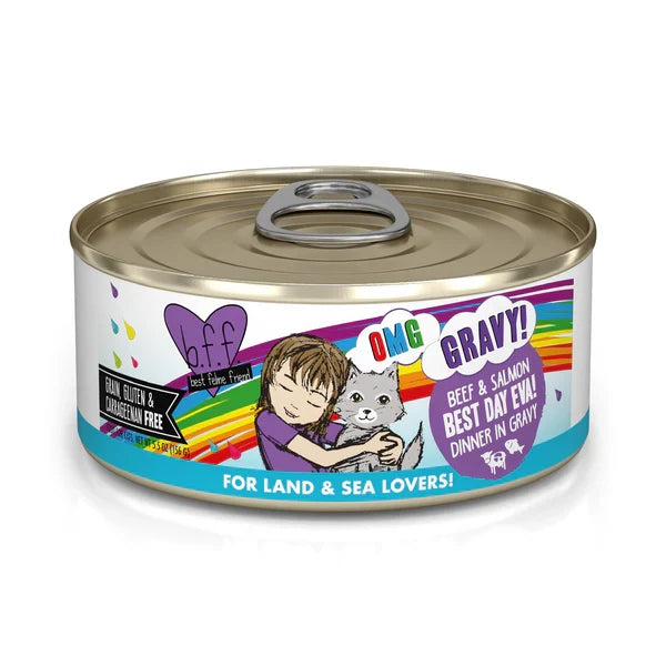 Weruva OMG Best Day Eva! Beef & Salmon Canned Cat Food
