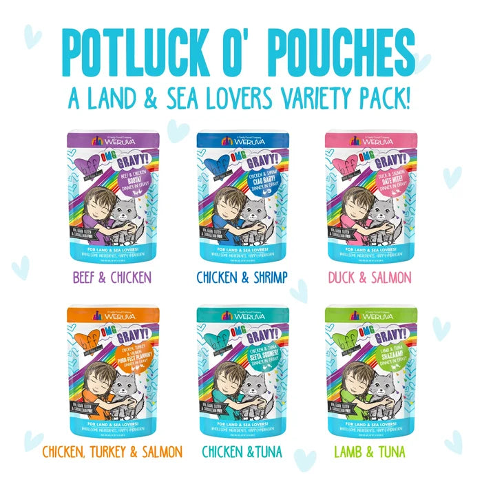 Weruva OMG Pouch Variety Pack Potluck O' Pouches Cat Food