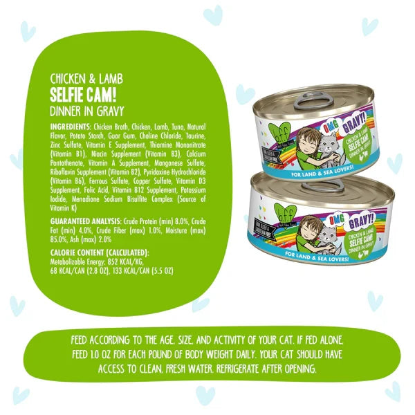 Weruva OMG Selfie Cam! Chicken & Lamb Canned Cat Food