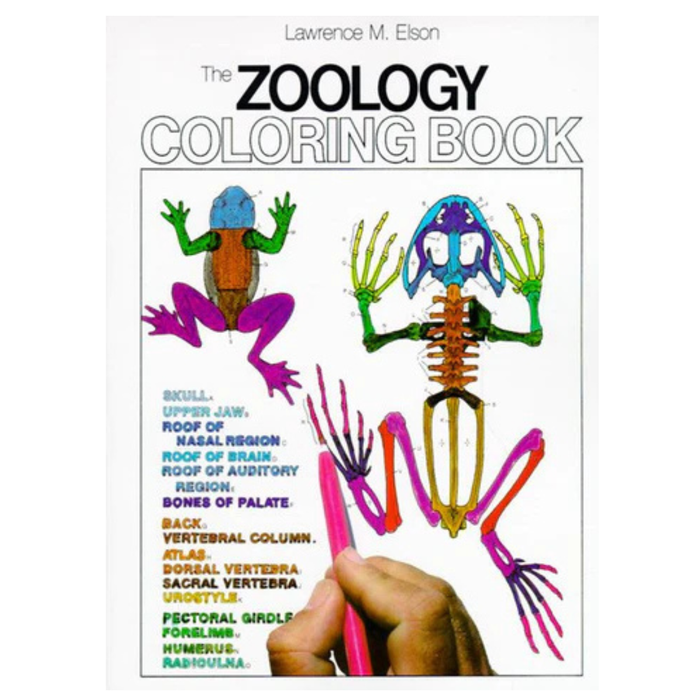 Zoology Coloring Book